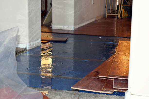 Professional Water Damage Restoration technician working in Woodville, VA